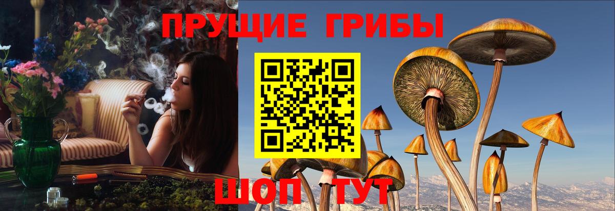 Бутурлиновка  Псилоцибиновые грибы GOLDEN TEACHER  Галлюциногенные грибы Cubensis  Вход с VPN 